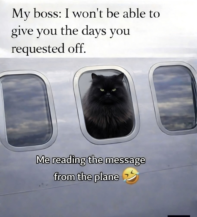 My boss: I won't be able to give you the days you requested off. Me reading the message from the plane