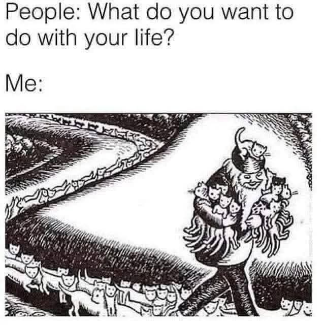 People: What do you want to do with your life? Me: