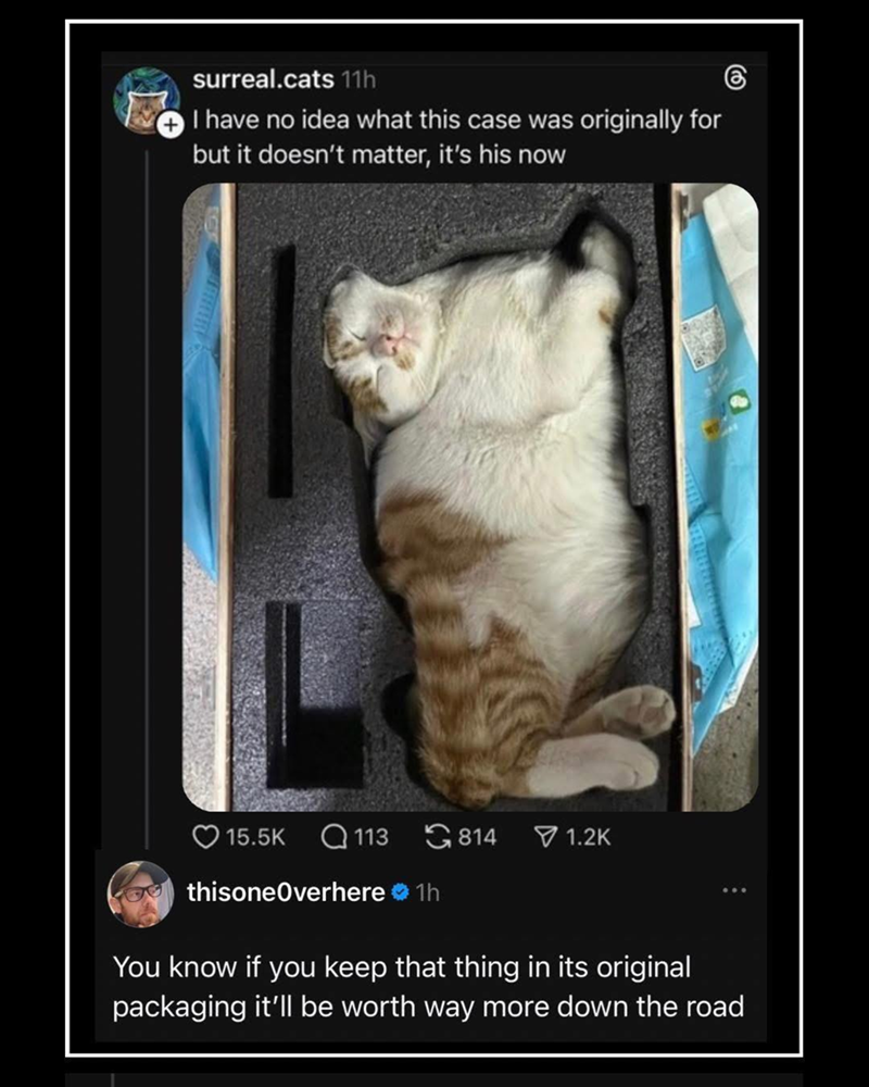 surreal.cats 11h I have no idea what this case was originally for but it doesn't matter, it's his now 15.5K Q113 814 1.2K thisoneOverhere ❤ 1h You know if you keep that thing in its original packaging it'll be worth way more down the road