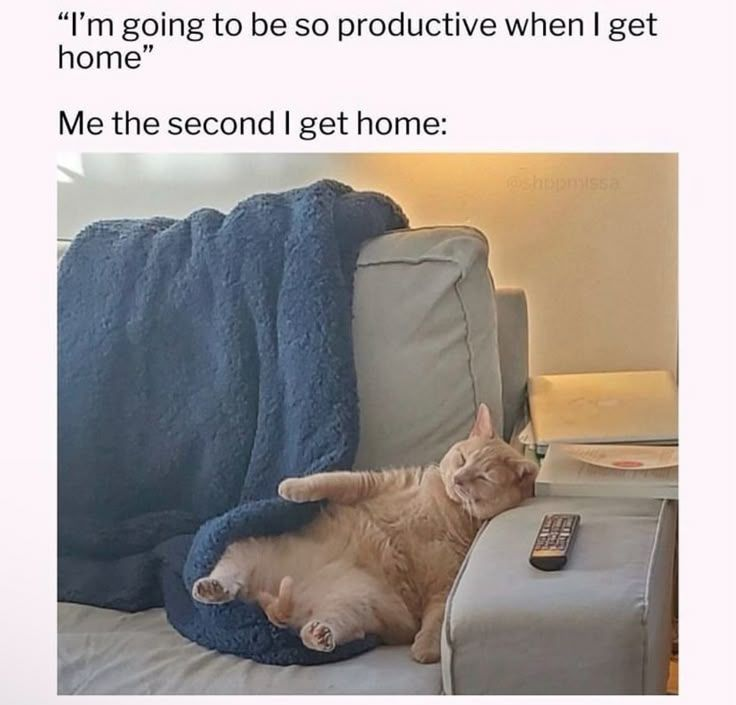 "I'm going to be so productive when I get home" Me the second I get home: @shopmissa