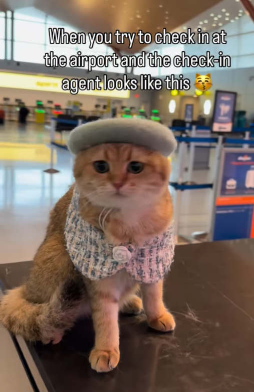 When you try to check in at the airport and the check-in agent looks like this
