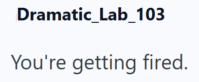 Dramatic_Lab_103 You're getting fired.