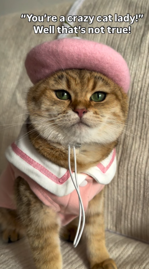 "You're a crazy cat lady!" Well that's not true!