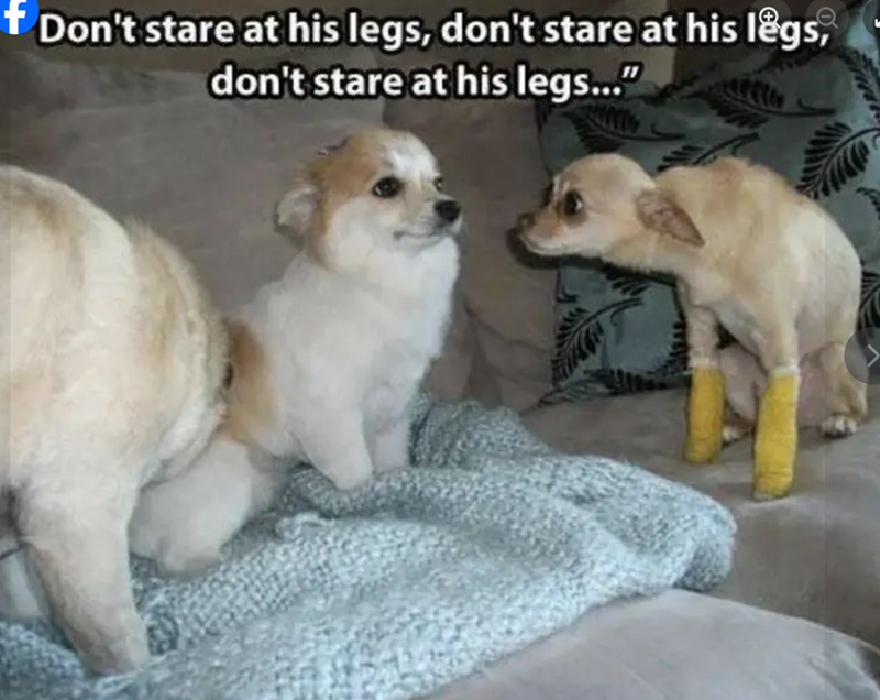 * Don't stare at his legs, don't stare at his legs, don't stare at his legs..."