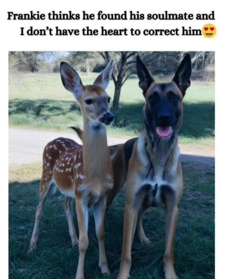 Frankie thinks he found his soulmate and I don't have the heart to correct him