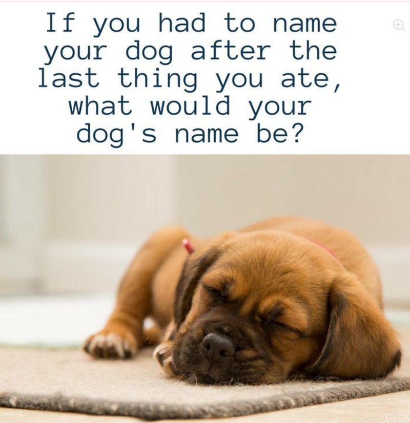 If you had to name your dog after the last thing you ate, what would your dog's name be? Serial