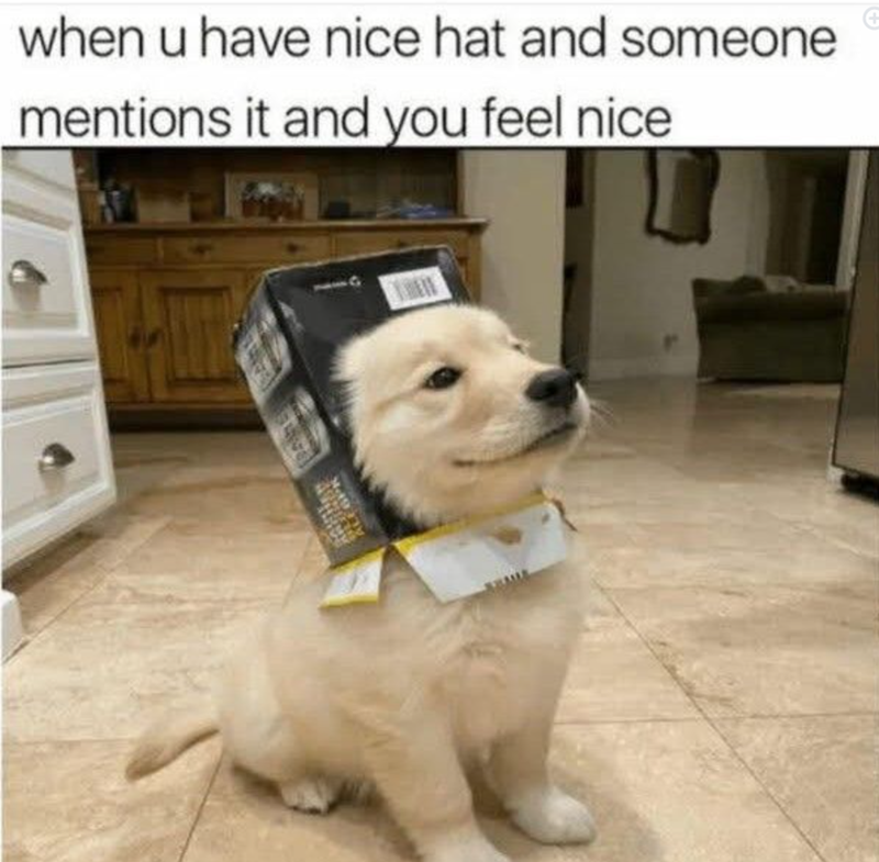when u have nice hat and someone mentions it and you feel nice