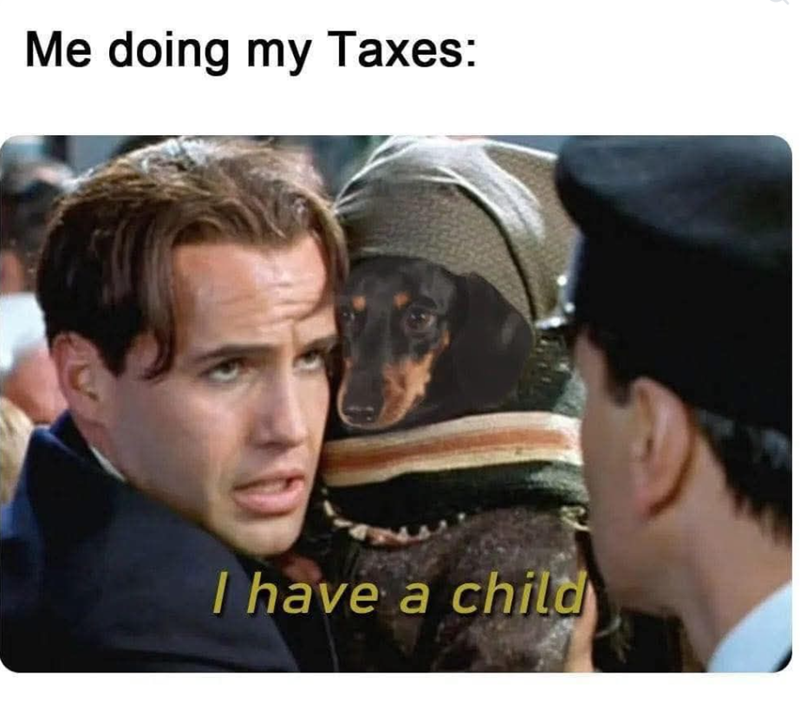 Me doing my Taxes: I have a child