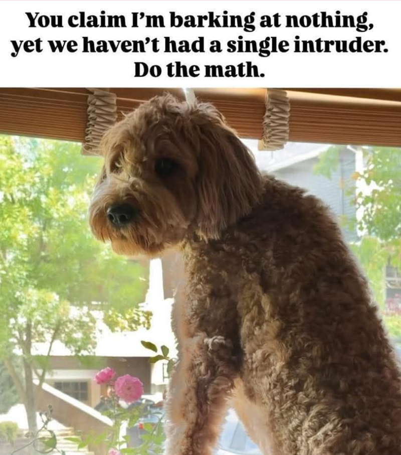 You claim I'm barking at nothing, yet we haven't had a single intruder. Do the math.