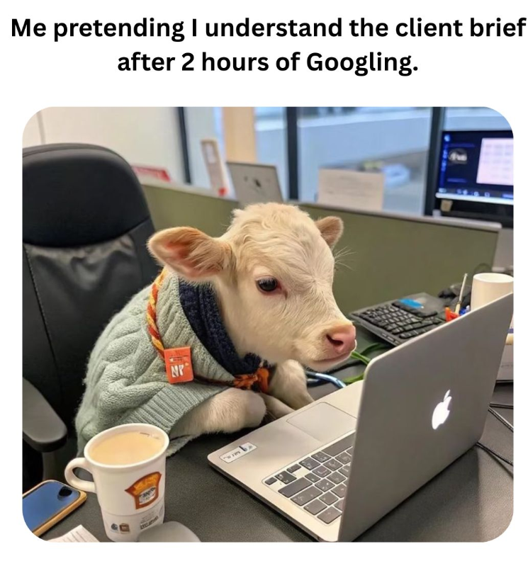 Me pretending I understand the client brief after 2 hours of Googling. N