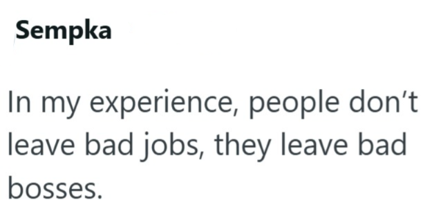 Sempka In my experience, people don't leave bad jobs, they leave bad bosses.