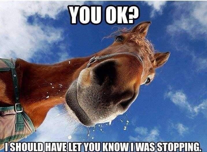 YOU OK? ISHOULD HAVE LET YOU KNOW I WAS STOPPING.