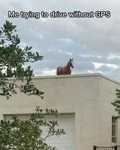 Me trying to drive without GPS