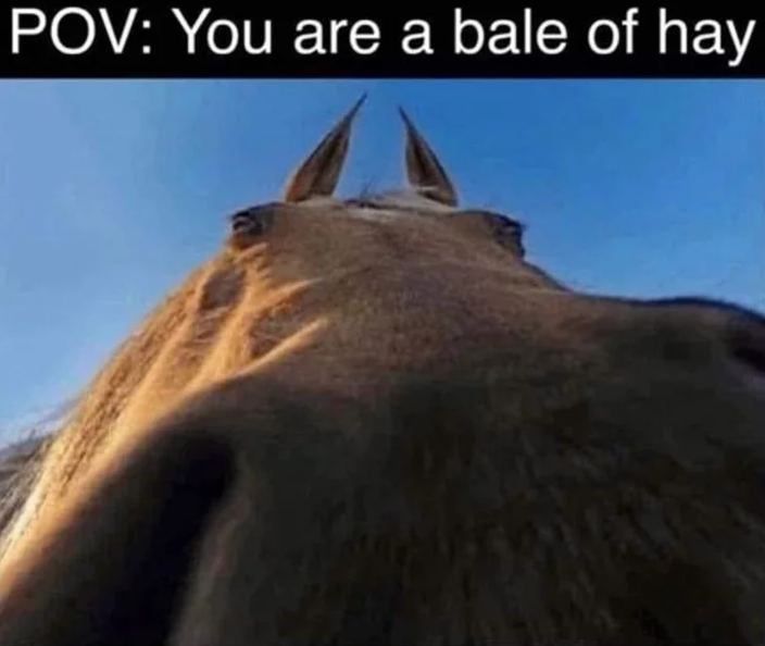 POV: You are a bale of hay