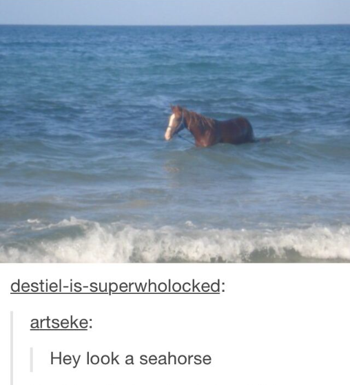 destiel-is-superwholocked: artseke: Hey look a seahorse