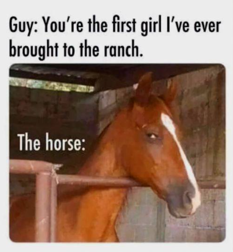 Guy: You're the first girl I've ever brought to the ranch. The horse: