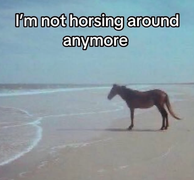 I'm not horsing around anymore