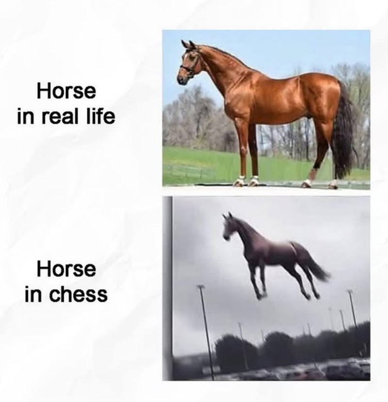 Horse in real life Horse in chess