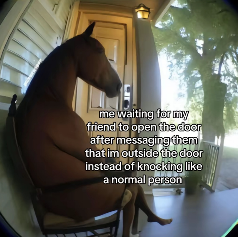 me waiting for my friend to open the door after messaging them that im outside the door instead of knocking like a normal person