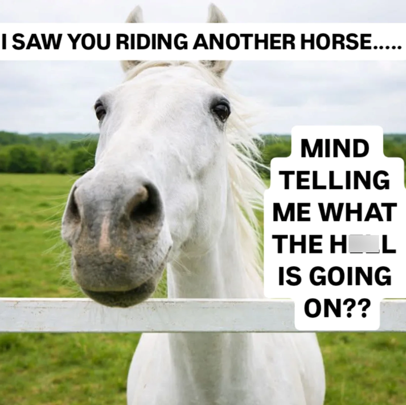 I SAW YOU RIDING ANOTHER HORSE..... MIND TELLING ME WHAT THE HOL IS GOING ON??