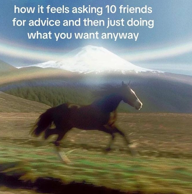 how it feels asking 10 friends for advice and then just doing what you want anyway