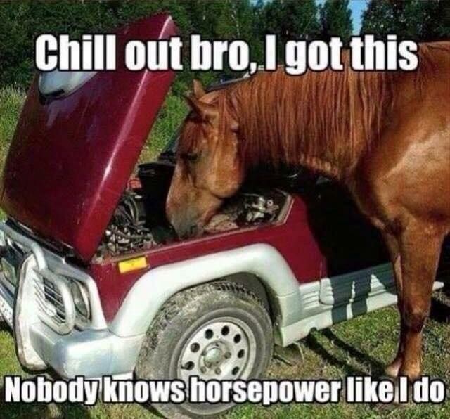 Chill out bro, I got this Nobody knows horsepower like I do