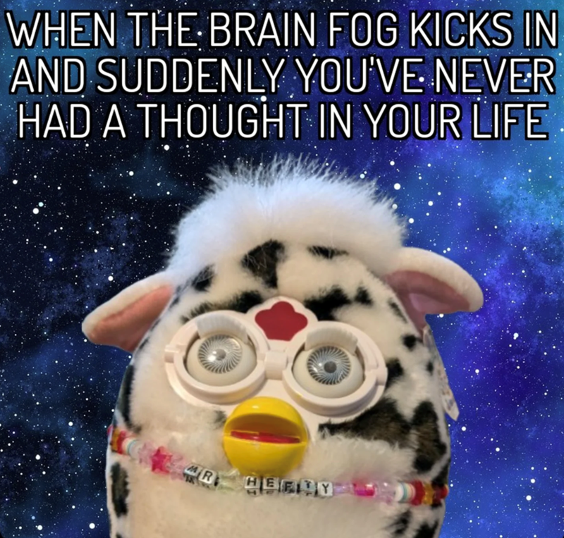 WHEN THE BRAIN FOG KICKS IN AND SUDDENLY YOU'VE NEVER HAD A THOUGHT IN YOUR LIFE