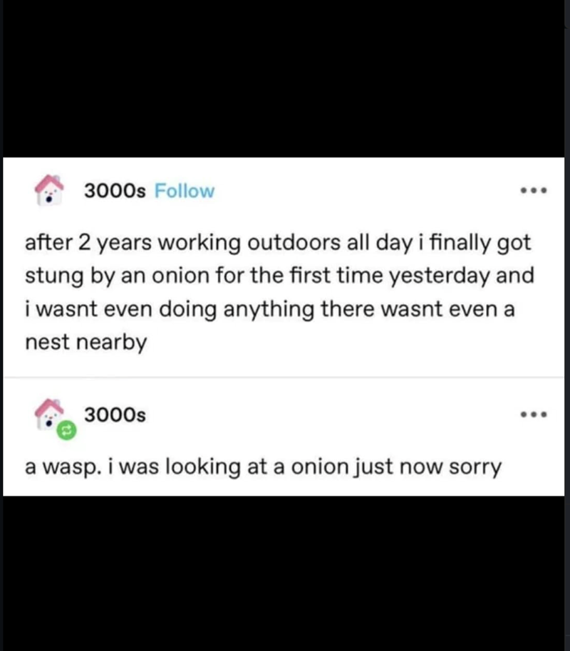 3000s Follow after 2 years working outdoors all day i finally got stung by an onion for the first time yesterday and i wasnt even doing anything there wasnt even a nest nearby 3000s a wasp. i was looking at a onion just now sorry