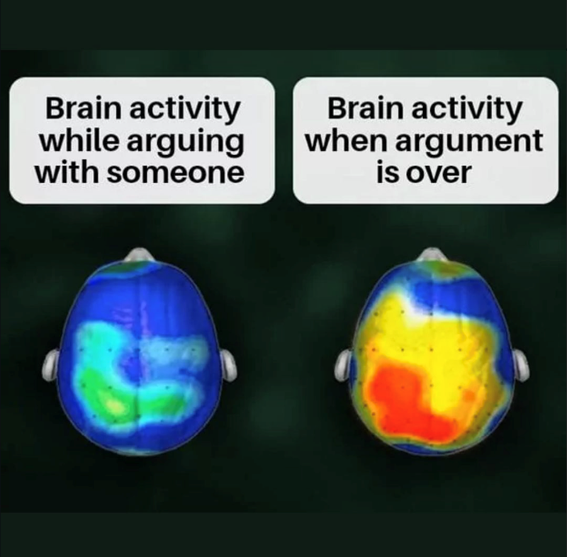 Brain activity while arguing with someone Brain activity when argument is over