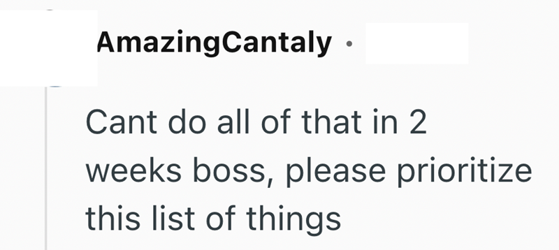 AmazingCantaly ⚫ Cant do all of that in 2 weeks boss, please prioritize this list of things
