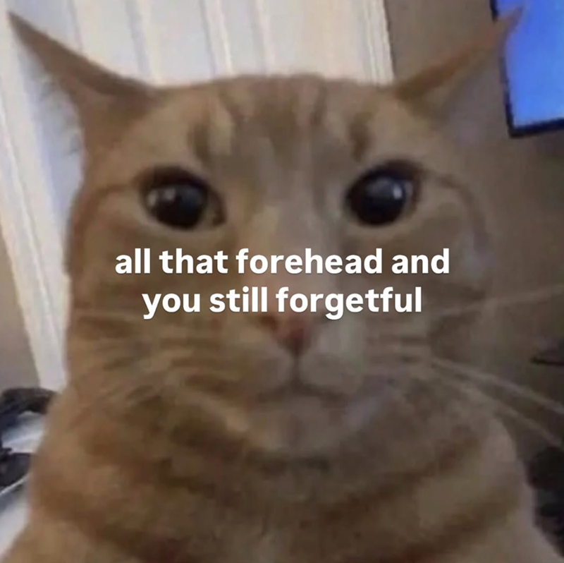 all that forehead and you still forgetful
