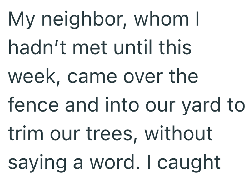 My neighbor, whom I hadn't met until this week, came over the fence and into our yard to trim our trees, without saying a word. I caught