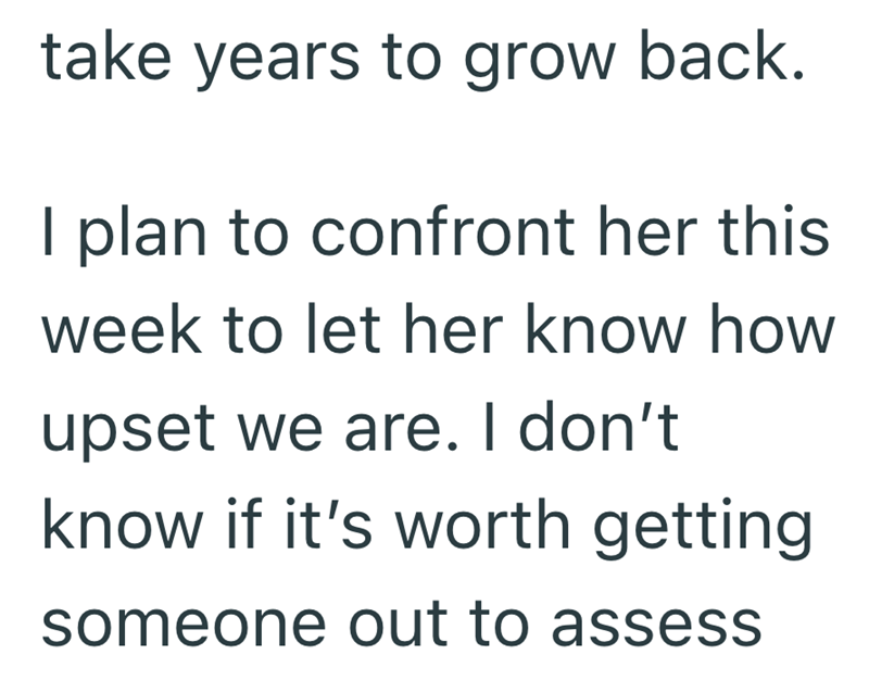 take years to grow back. I plan to confront her this week to let her know how upset we are. I don't know if it's worth getting someone out to assess