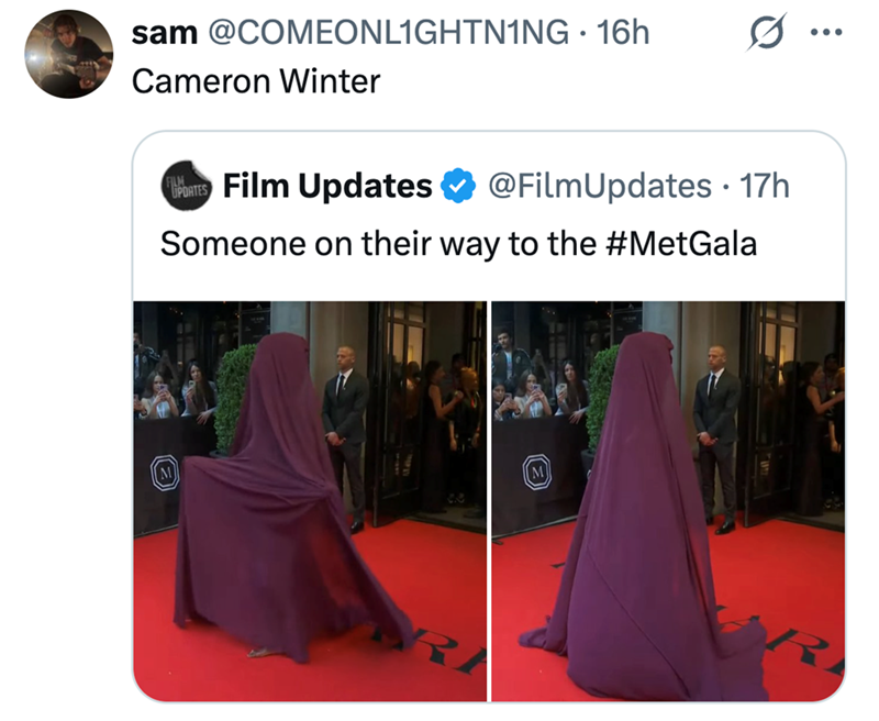 sam @COMEONL1GHTNING ⚫ 16h Cameron Winter PLATES Film Updates @FilmUpdates · 17h • Someone on their way to the #MetGala ...