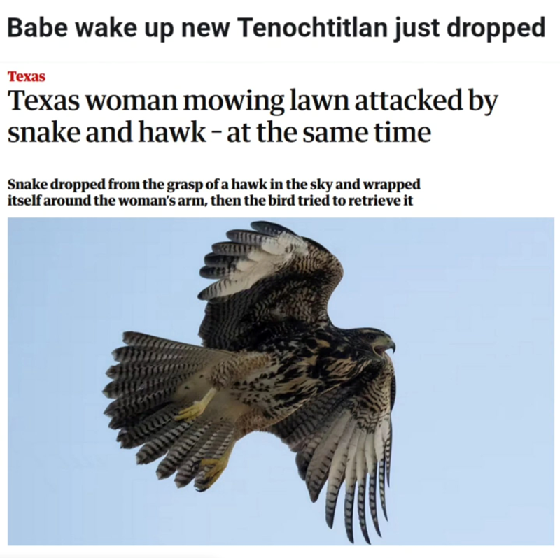 Babe wake up new Tenochtitlan just dropped Texas Texas woman mowing lawn attacked by snake and hawk - at the same time Snake dropped from the grasp of a hawk in the sky and wrapped itself around the woman's arm, then the bird tried to retrieve it