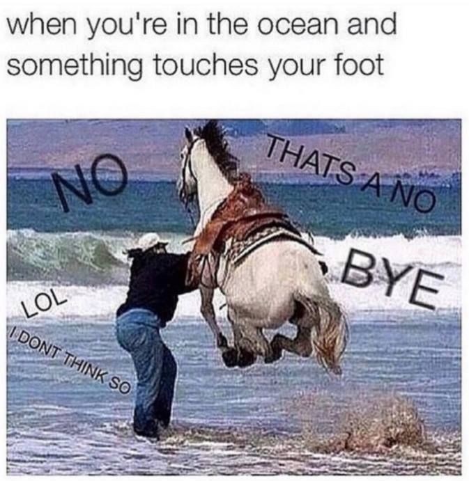 when you're in the ocean and something touches your foot NO THATS A NO BYE LOL I DONT THINK SO