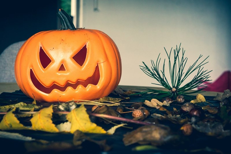 Plastic jack o lantern sits among acorns and fall leaves.