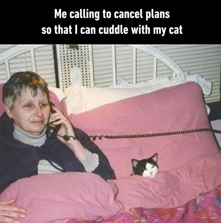 Me calling to cancel plans so that I can cuddle with my cat
