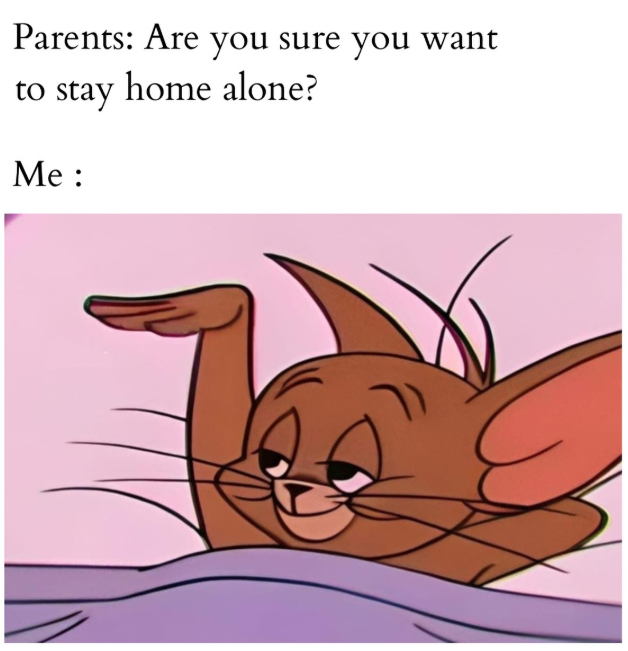 Parents: Are you sure you want to stay home alone? Me :