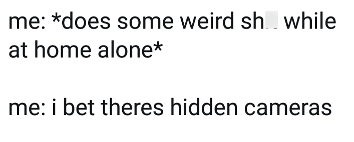 me: *does some weird sh while at home alone* me: i bet theres hidden cameras