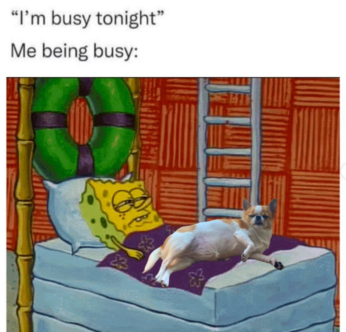 "I'm busy tonight" Me being busy:
