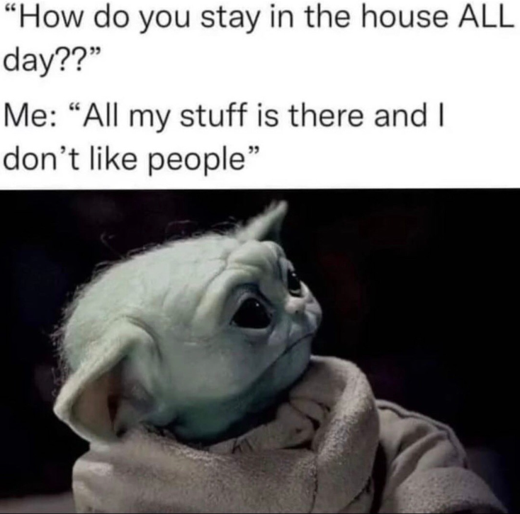 "How do you stay in the house ALL day??" Me: "All my stuff is there and I don't like people"