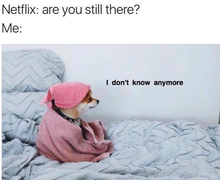 Netflix: are you still there? Me: I don't know anymore