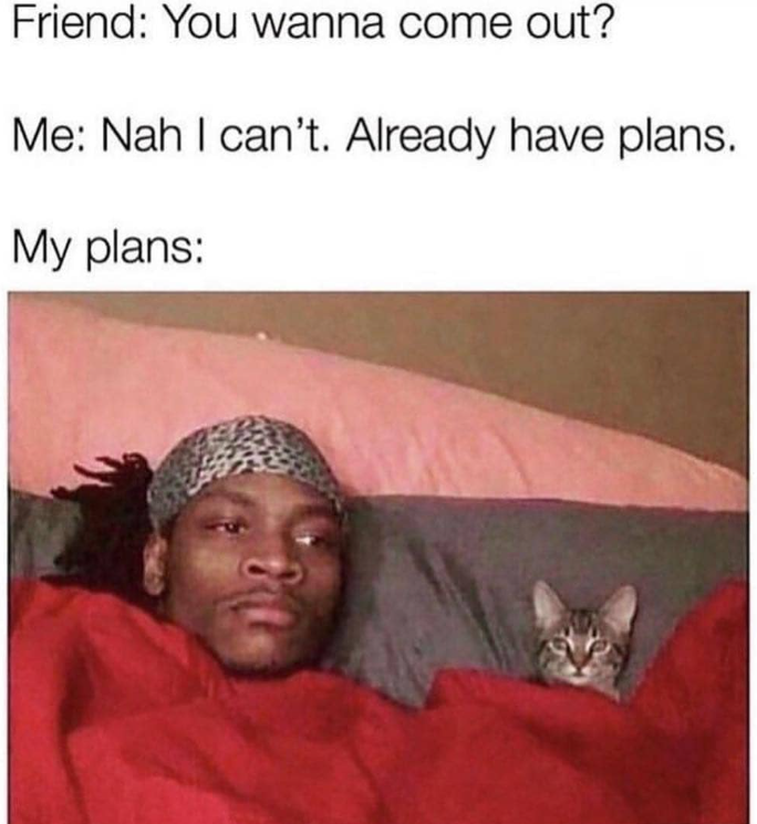 Friend: You wanna come out? Me: Nah I can't. Already have plans. My plans: