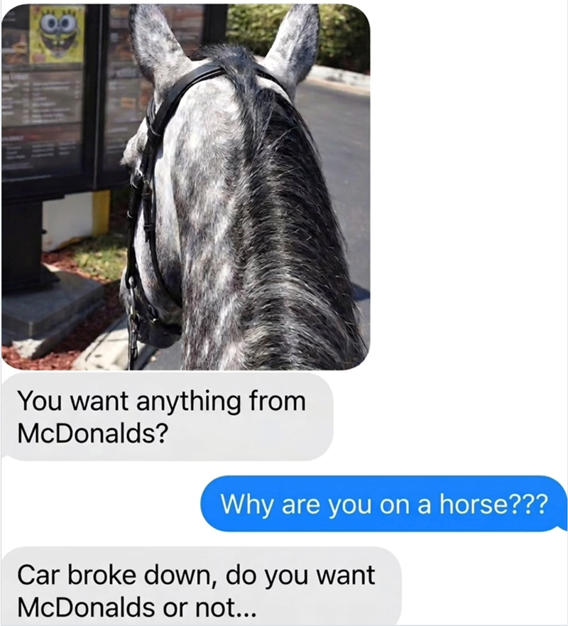 You want anything from McDonalds? Why are you on a horse??? Car broke down, do you want McDonalds or not...