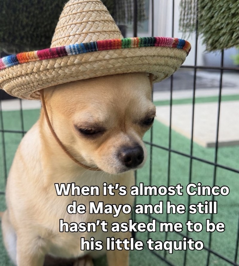 When it's almost Cinco de Mayo and he still hasn't asked me to be his little taquito