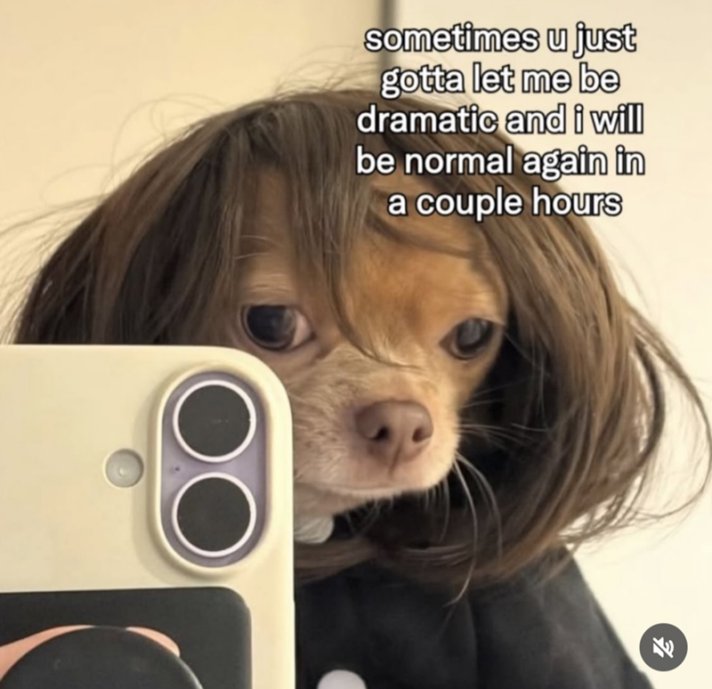 sometimes u just gotta let me be dramatic and i will be normal again in a couple hours