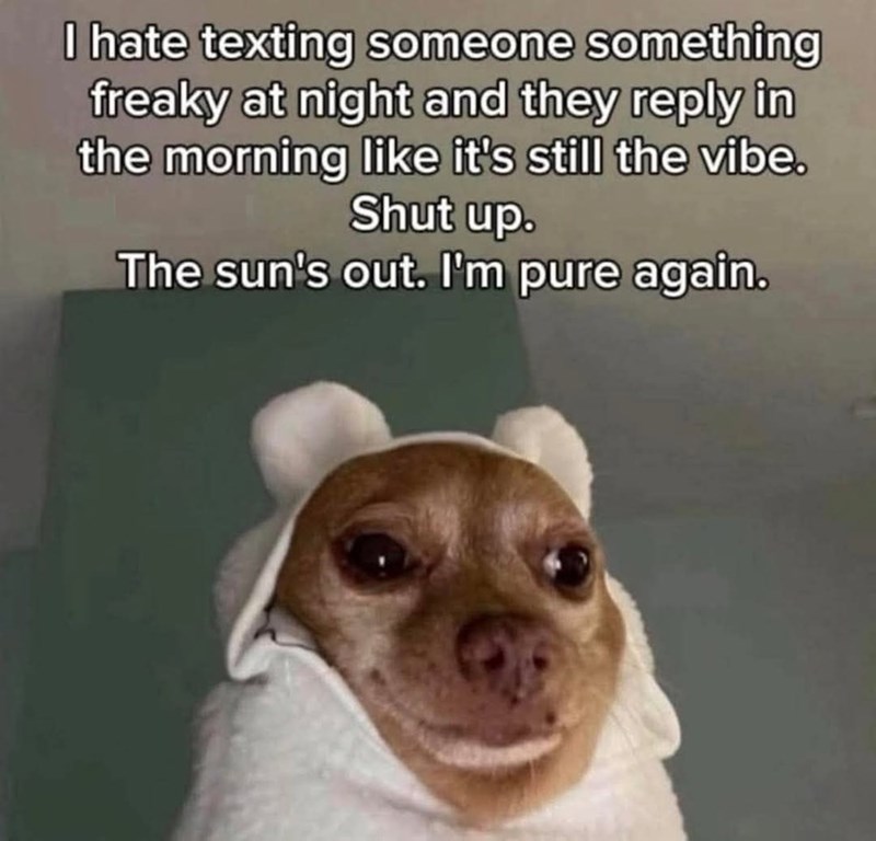 I hate texting someone something freaky at night and they reply in the morning like it's still the vibe. Shut up. The sun's out. I'm pure again.