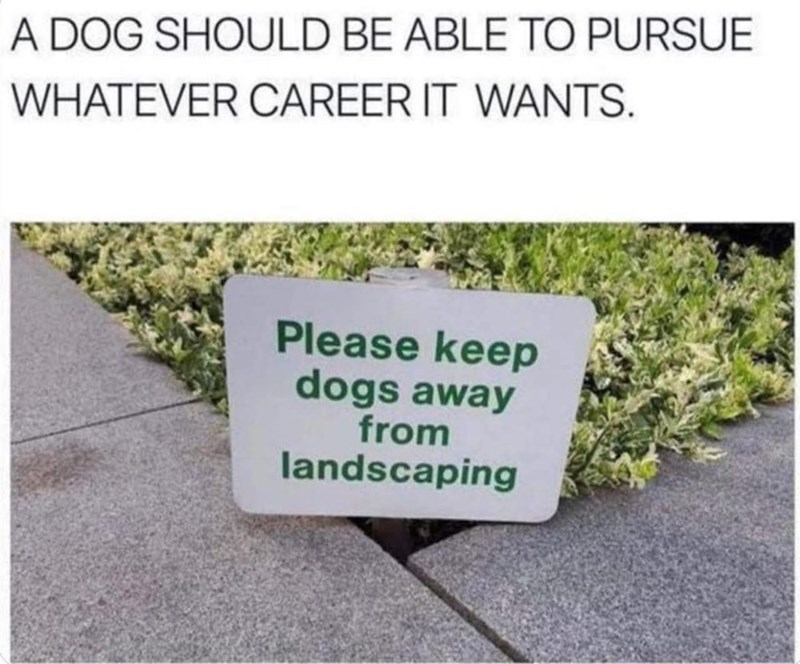 A DOG SHOULD BE ABLE TO PURSUE WHATEVER CAREER IT WANTS. Please keep dogs away from landscaping