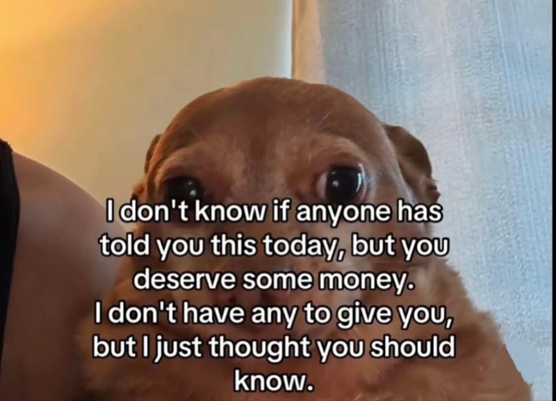 I don't know if anyone has told you this today, but you deserve some money. I don't have any to give you, but I just thought you should know.